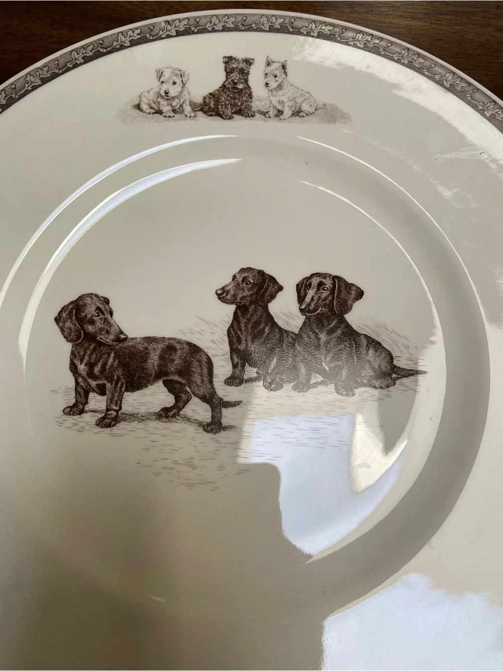 Wedgwood Two’s Company Ceramic Dog Print Dinner Plate Brown Dachshund Design